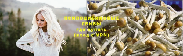 марки nbome Каменногорск